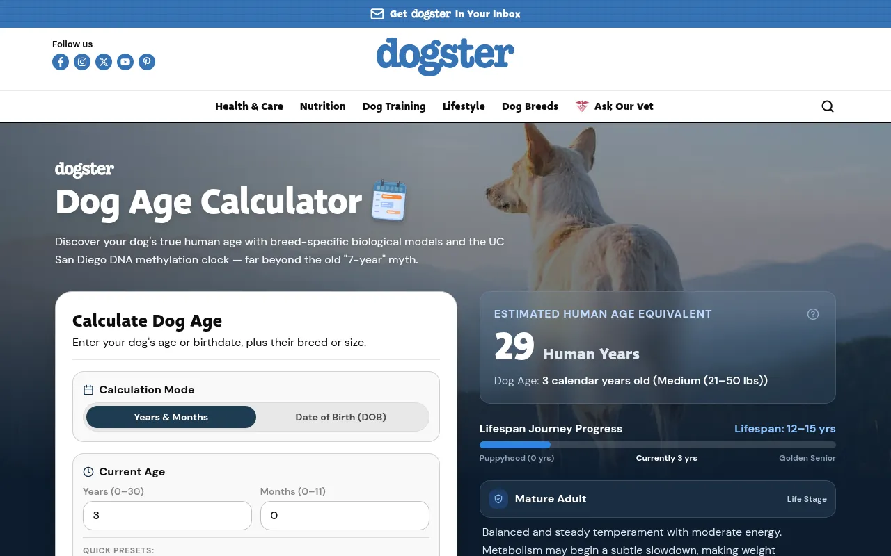 Dogster's dog age calculator showing 29 human years for a 3-year-old medium dog
