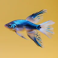 Guppy Names photo